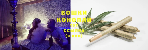Альфа ПВП Бородино