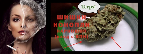Альфа ПВП Бородино