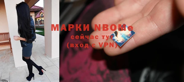 Альфа ПВП Бородино