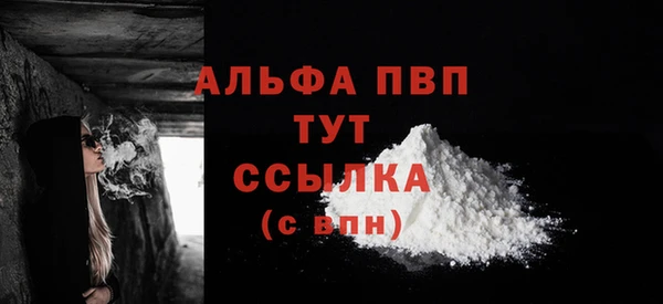 Альфа ПВП Бородино