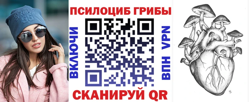 Купить где  Новозыбков  Галлюциногенные грибы ЛСД 